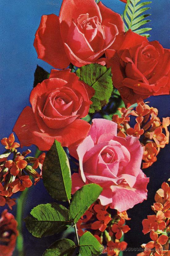 Postales: POSTAL FLORES ESCRITA CIRCULADA SELLO POSTALES VIKINGO 2175/1