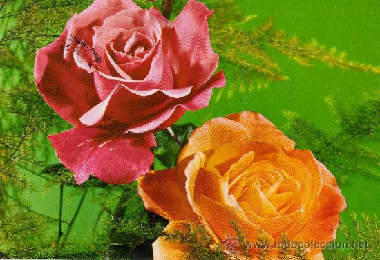 Postales: POSTAL FLORES ESCRITA CIRCULADA SELLO N&ordm; 2158/3 POSTALES VIKINGO