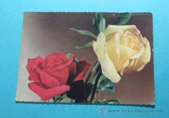 Postales: POSTAL FLORES. SVEN HANSS&Eacute;N - Foto 1