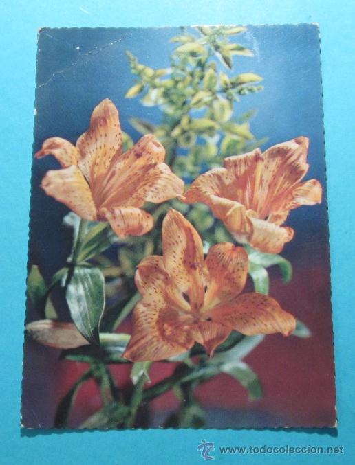 Postales: POSTAL FLORES. SVEN HANSS&Eacute;N - Foto 1