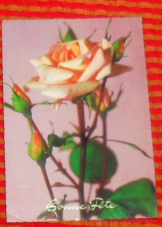 Postcards: postal flores a&ntilde;os 50  impresa en alemania