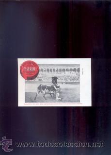 Postkarten: Toros en Sevilla. Feria de 1915.