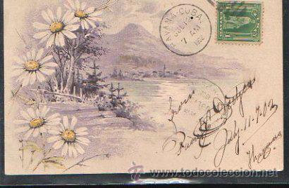 Postales: TARJETA POSTAL DE MOTIVOS FLORALES