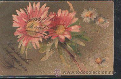 Postales: TARJETA POSTAL DE MOTIVOS FLORALES