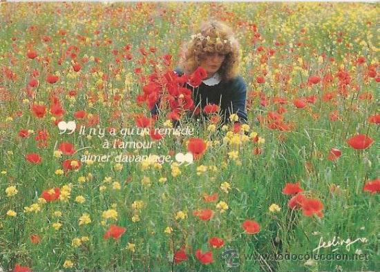 Postales: :::: C154 - POSTAL - EVASION - PHOTO SCHAEFER - ZEFA - ESCRITA - Foto 1