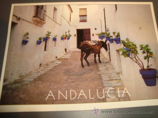 Postales: postal andalucia
