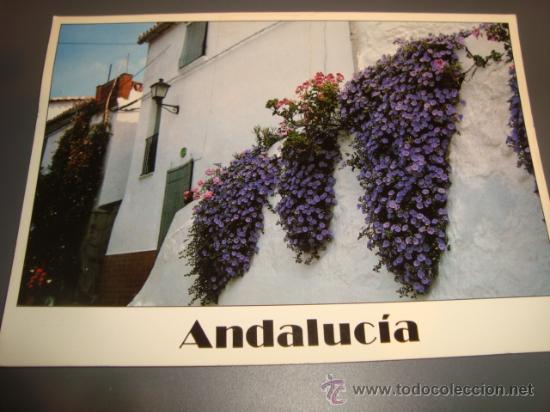 Postales: postal andalucia pueblos blancos