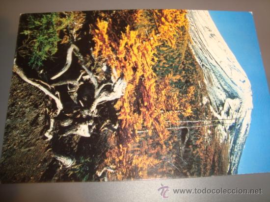 Cartes Postales: postal