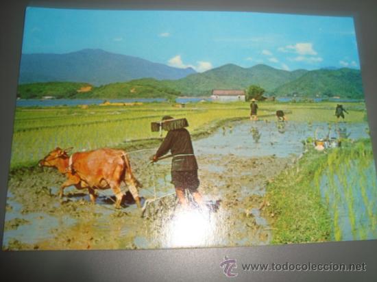 Postales: postal