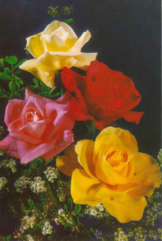 Postales: Postal - ramo de rosas - C. y Z. - 7591/29-D - Foto 1