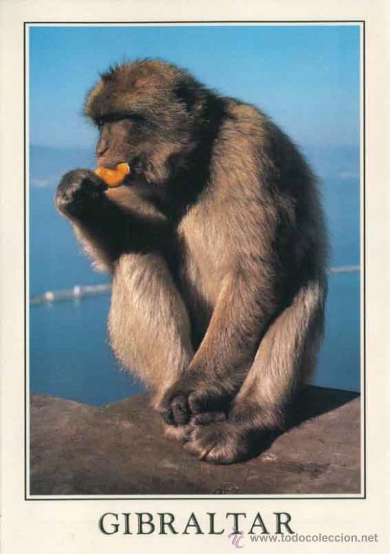 Postales: Postal de Gibraltar - Foto 1