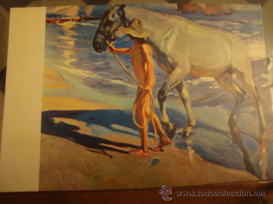 Postales: antigua postal a&ntilde;o 1963 museo sorolla , el ba&ntilde;o del caballo .