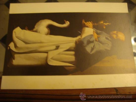 Postkarten: ANTIGUA POSTAL CADIZ MUSEO DE BELLAS ARTES, A&Ntilde;OS 60S