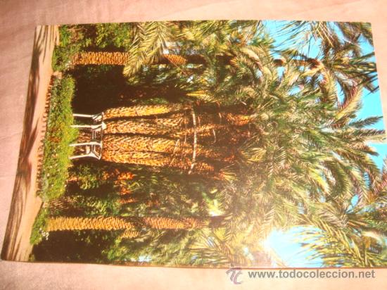 Postcards: antigua postal