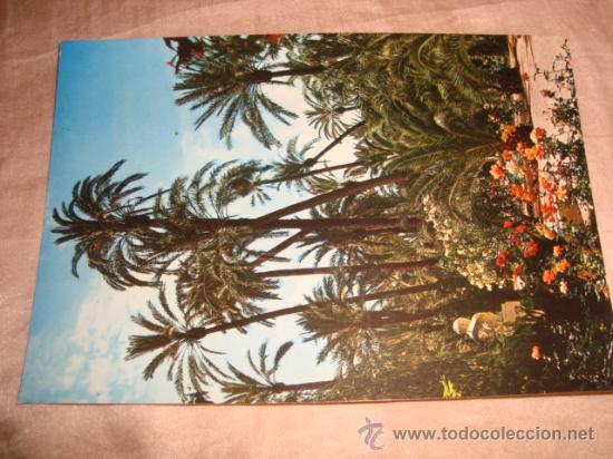 Postcards: antigua postal