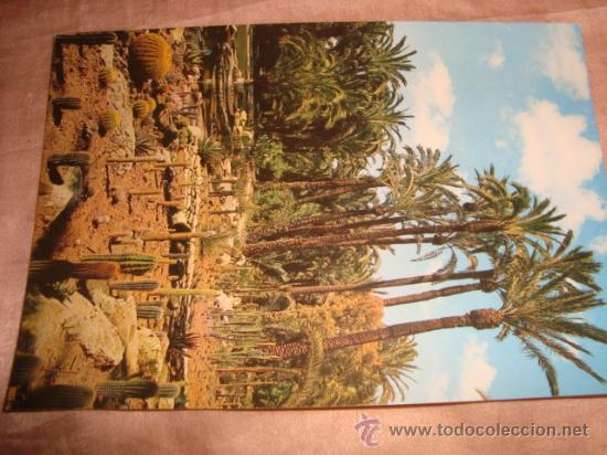 Postcards: antigua postal