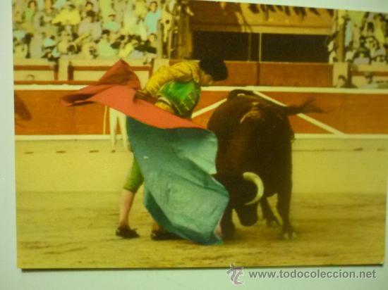 Postales: POSTAL TOROS.-MEDIA VERONICA - Foto 1
