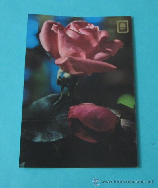 Postales: POSTAL ROSAS. ESCUDO DE ORO - Foto 1