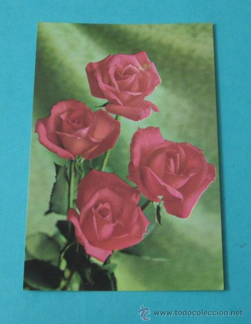 Postales: POSTAL ROSAS - Foto 1