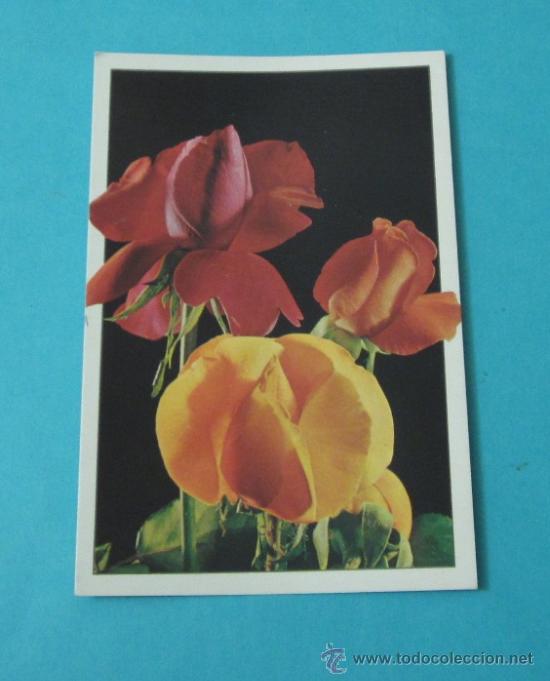 Postales: POSTAL ROSAS - Foto 1