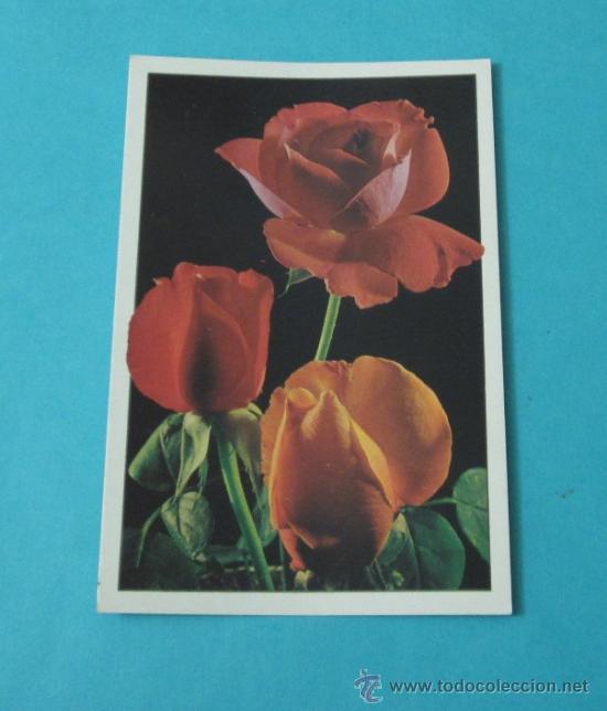 Postales: POSTAL ROSAS - Foto 1