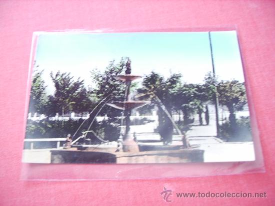 Postales: MOTILLA DEL PALANCAR (CUENCA) PARQUE  INMACULADA - Foto 1