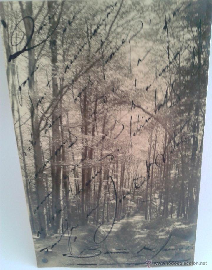 Postales: MAGNIFICA POSTAL DEL BOSQUE ,FECHADA EL 12-6-1908 EN BARCELONA - Foto 1