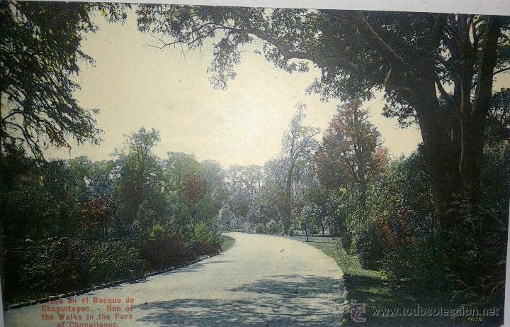 Postales: PRECIOSA POSTAL ANTIGUA DEL A&Ntilde;O 1912 - Foto 1