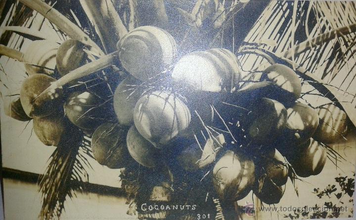 Postales: PRECIOSA POSTAL ANTIGUA  DEL A&Ntilde;O 1914 - Foto 1