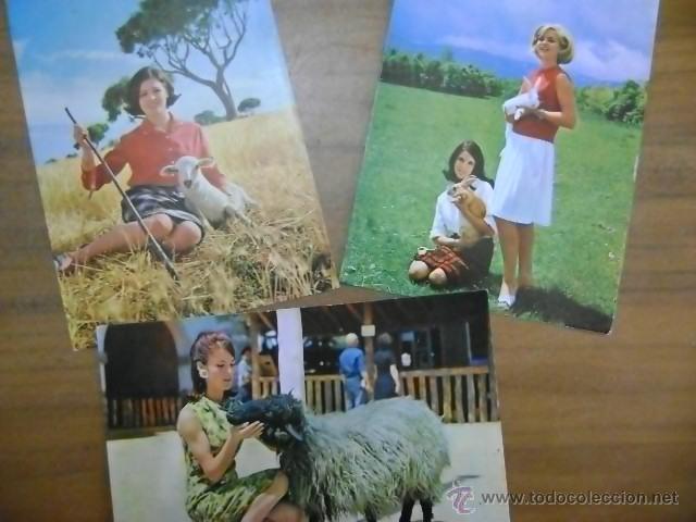 Postales: 3 postales Sanders servicio de ediciones (tarjeta postal) - Foto 1