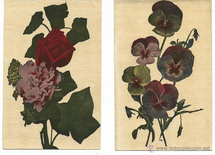Cartoline: 2 POSTALES ITALIANAS TEMATICA DE FLORES Y PLANTAS