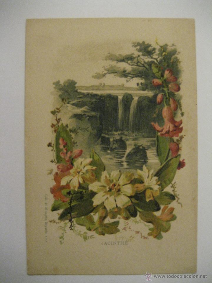 Cartoline: BONITA POSTAL DE FLORES
