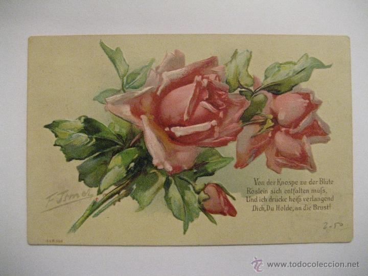 Postcards: BONITA POSTAL DE FLORES