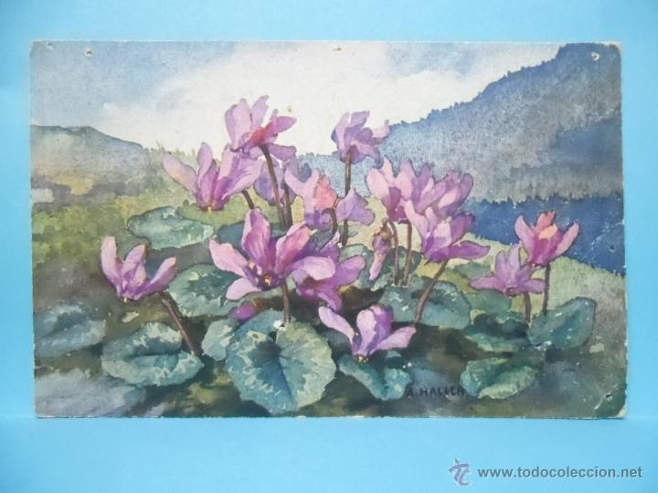 Postcards: POSTAL DIBUJO FLORES - N&ordm; 306 - IMP. SWITZERLAND - SUIZA - A. HALLER