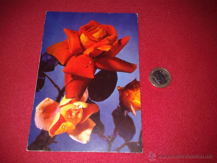 Postales: POSTAL ESCRITA FOTOS CARRETERO A&Ntilde;OS 70 FLORES ROSAS. BUEN ESTADO GENERAL.