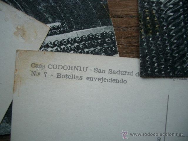 Postales: Lotes de postales de Codorniu. - Foto 2
