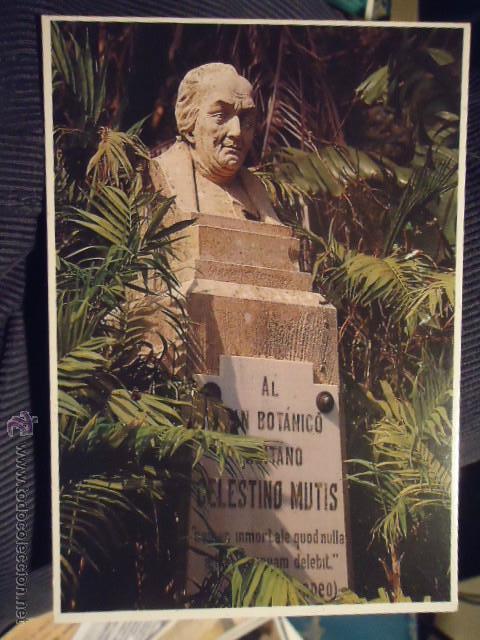 Postales: postal monumento celestino mutis, cadiz parque genoves, n 49