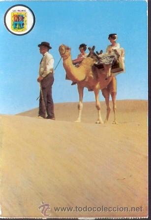 Postales: POSTAL SIN CIRCULAR - LAS PALMAS - A&Ntilde;OS 70 - Foto 1