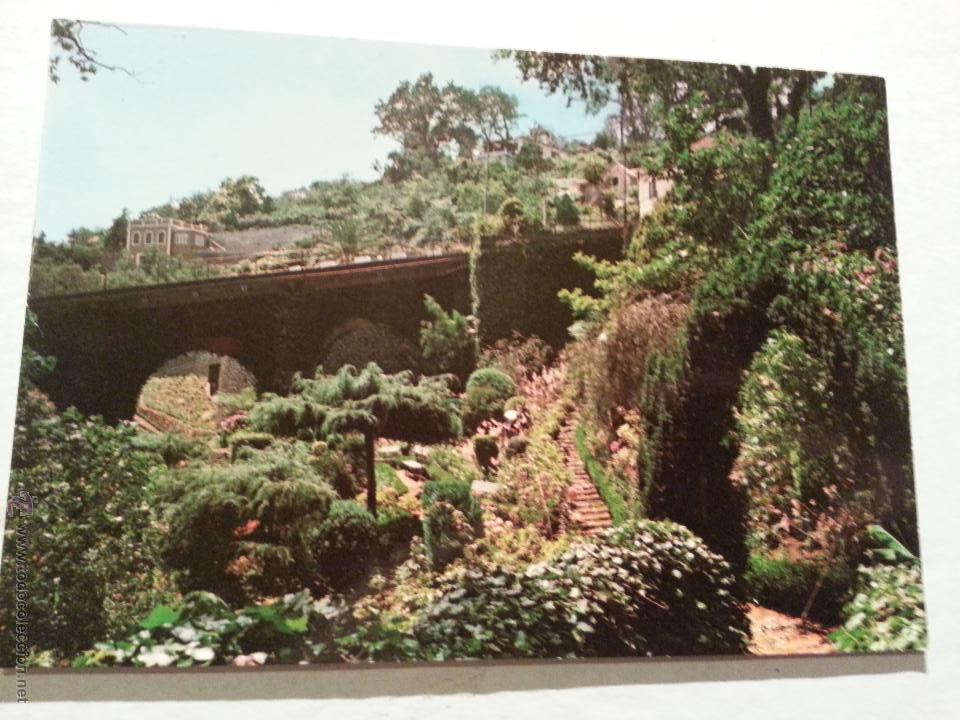 postal- madeira - 722 MONTE CARACTERISTICO DEL PARQUE DE ILHA