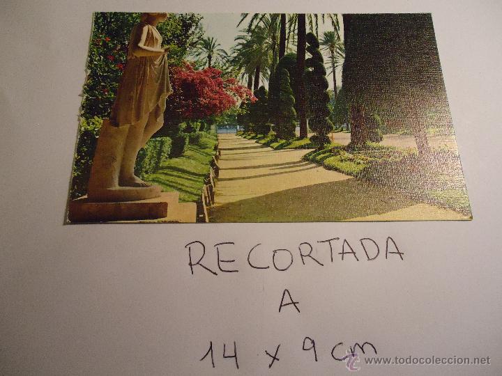 Postkarten: antigua postal recortada por los filos medida aproximada 14 x 9 cm cadiz parque genoves