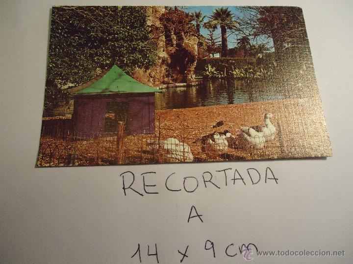 Postkarten: antigua postal recortada por los filos medida aproximada 14 x 9 cm cadiz parque genoves