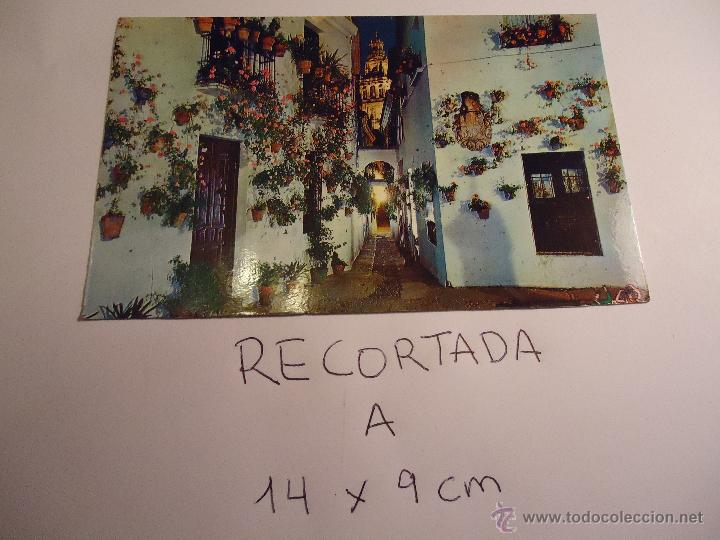 Postkarten: antigua postal recortada por los filos medida aproximada 14 x 9 cm cordoba