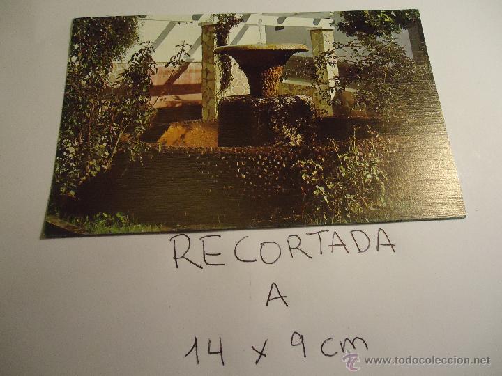 Postkarten: antigua postal recortada por los filos medida aproximada 14 x 9 cm cadiz el bosque
