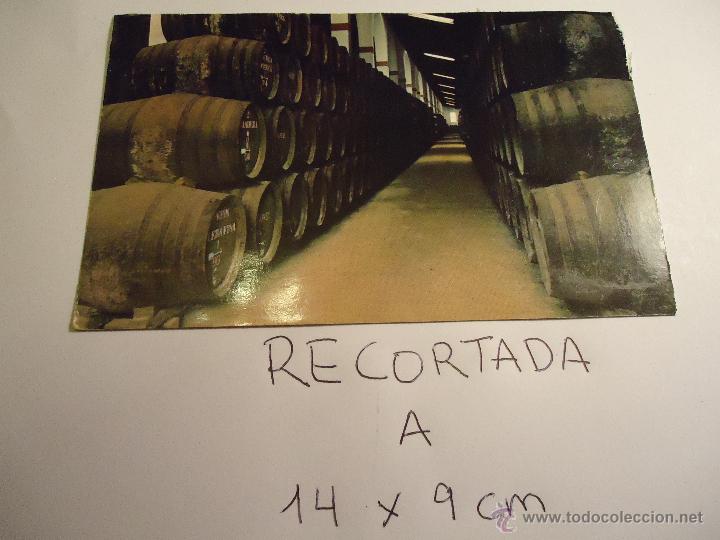 Postales: antigua postal recortada por los filos medida aproximada 14 x 9 cm bodega