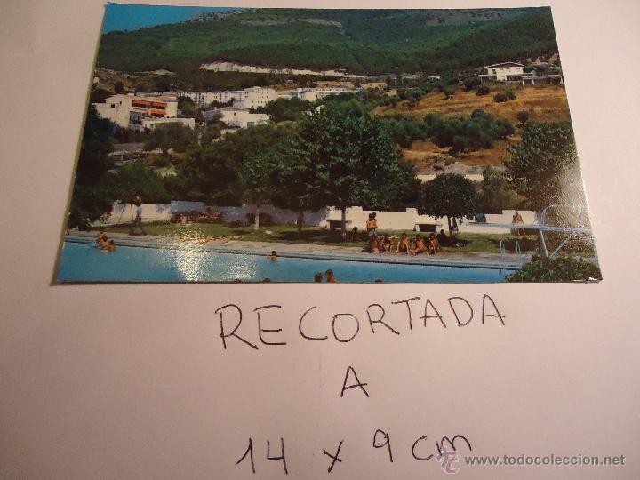 Postales: antigua postal recortada por los filos medida aproximada 14 x 9 cm el bosque cadiz
