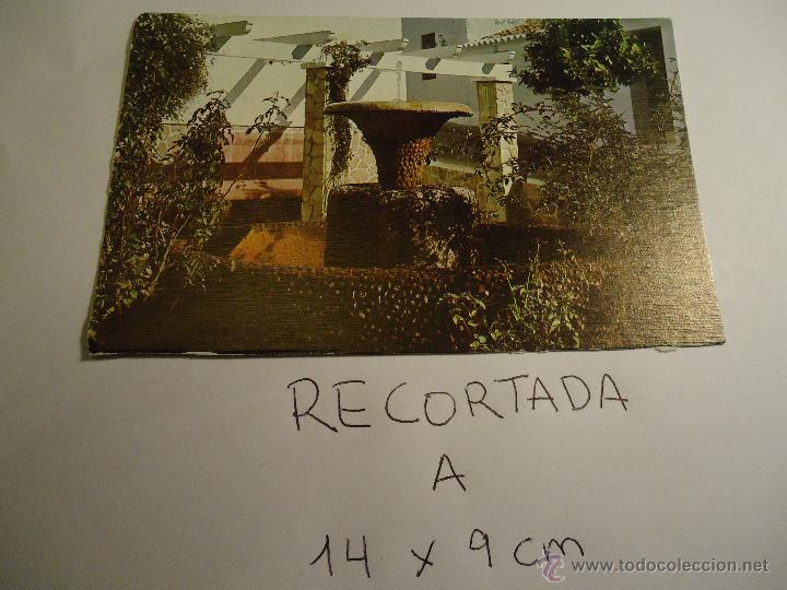 Postcards: antigua postal recortada por los filos medida aproximada 14 x 9 cm EL BOSQUE CADIZ