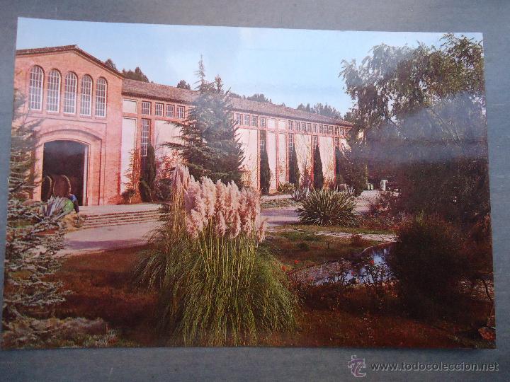 Cartes Postales: antigua postal rondel cavas
