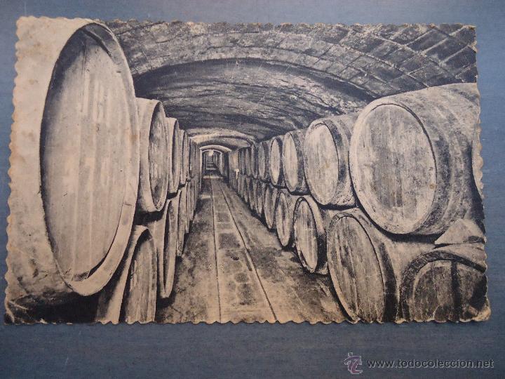 Cartes Postales: antigua postal casa codorniu san sadurni de noya , n 6 vinos en crianza