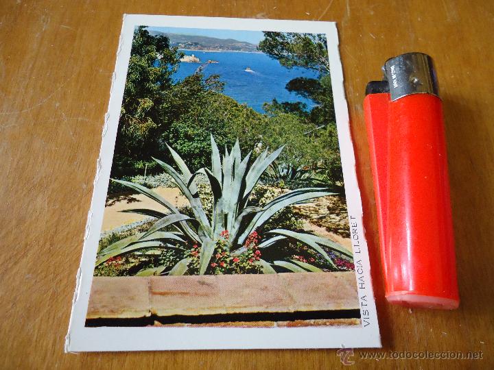 Postais: antigua mini postal flores - PLANTAS