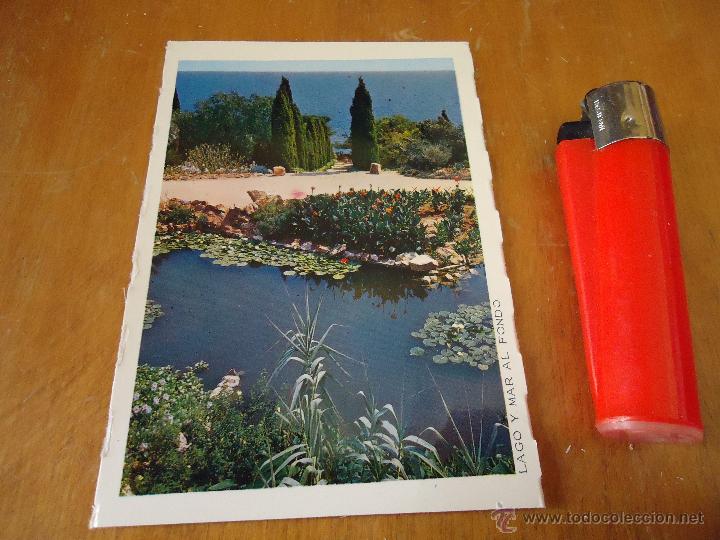 Postais: antigua mini postal flores - PLANTAS